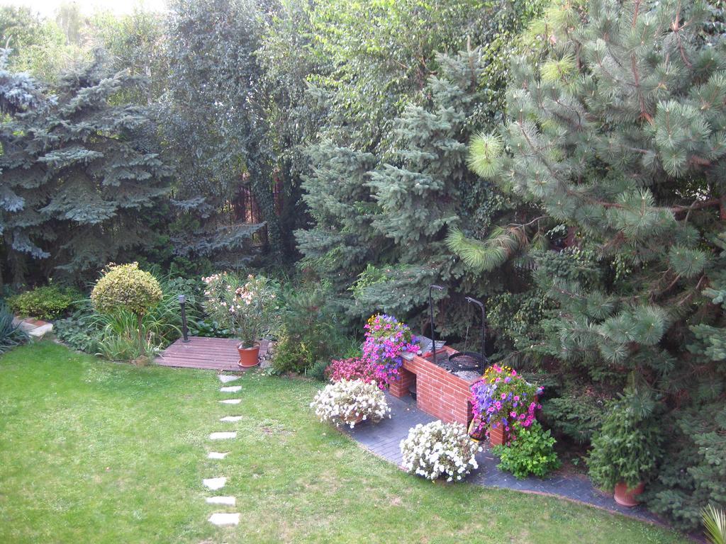 Pokoje Goscinne Pod Palmami Busko Zdroj Exterior photo